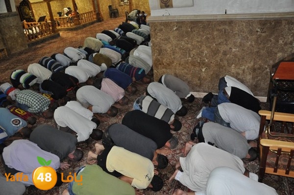 trawe7 mahmodiya 713 (30).JPG